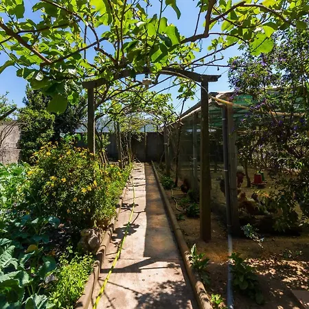 Araujo 111 - Traditional House Leca do Balio Exterior photo