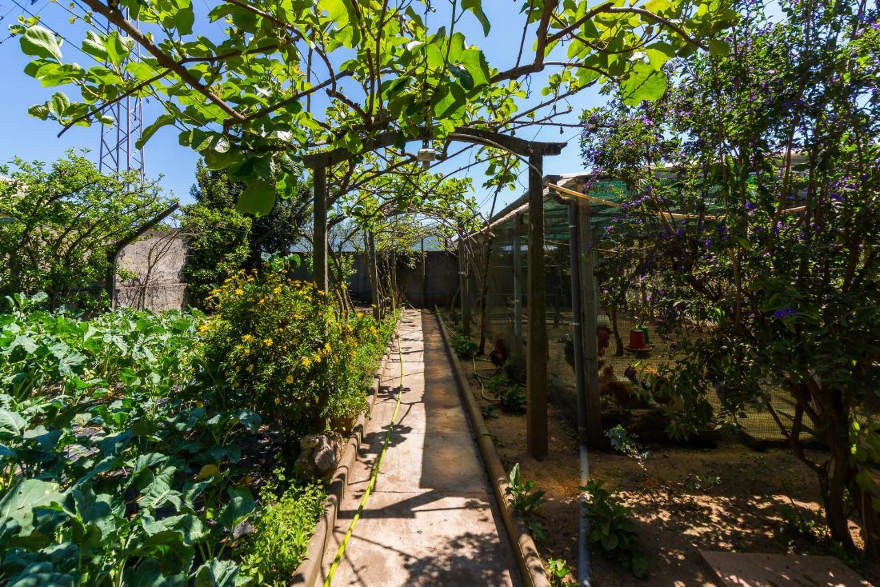 Holiday home Araujo 111 - Traditional House *